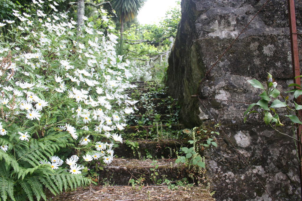 Quinta Das Leiras Santo Tirso Eksteriør billede
