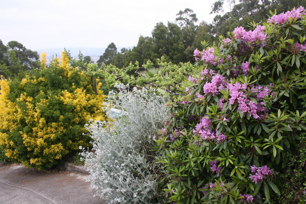 Quinta Das Leiras Santo Tirso Eksteriør billede