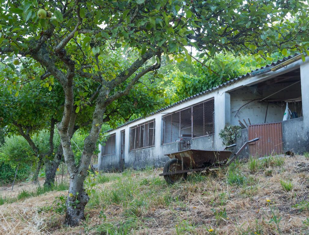 Quinta Das Leiras Santo Tirso Eksteriør billede