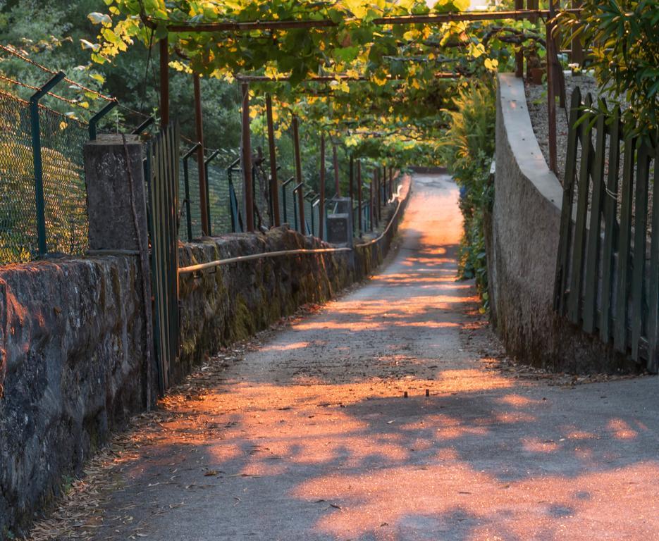 Quinta Das Leiras Santo Tirso Eksteriør billede