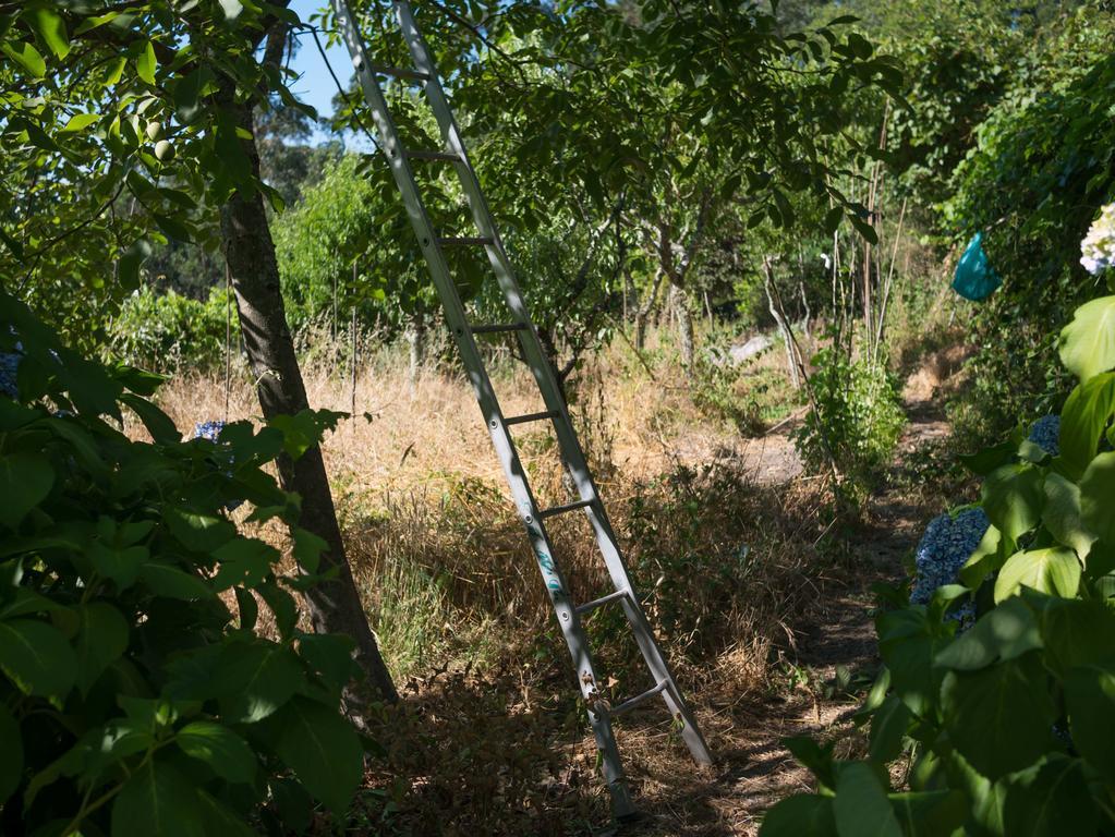Quinta Das Leiras Santo Tirso Eksteriør billede